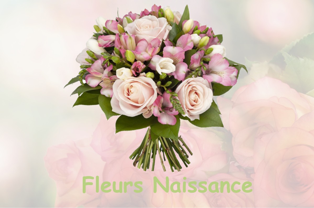 fleurs naissance LA-FOUILLOUSE